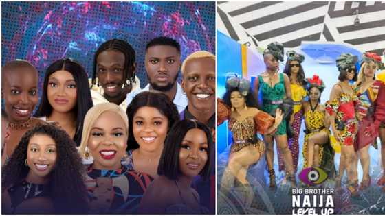 “BBNaija Level Up show’s production cost over N4.7b”: Organisers share interesting details as season ends