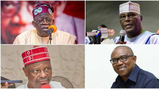 2023 presidency: Kwankwaso dares Tinubu, Obi, Atiku, spills the unthinkable