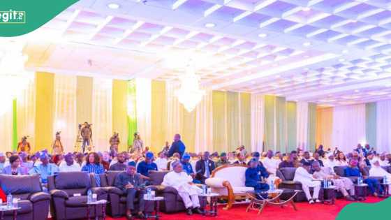 Gwamnoni ga Tinubu: Ga hanyar shawo kan matsalar tsadar abinci da tattalin arziki