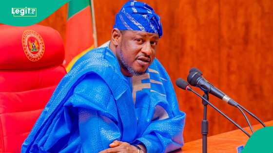 Jita jita ta kare: Babban alkalin Katsina ya tsage gaskiya kan batun sakin 'yan bindiga 70