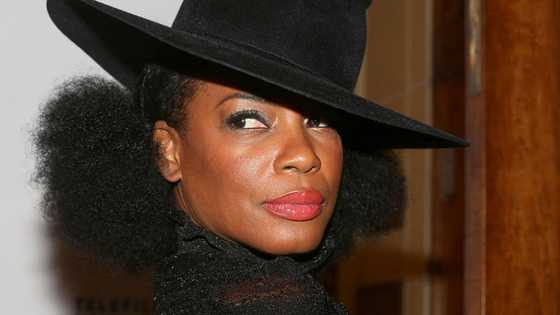 Aunjanue Ellis bio: net worth, partner, movies, Lovecraft Country