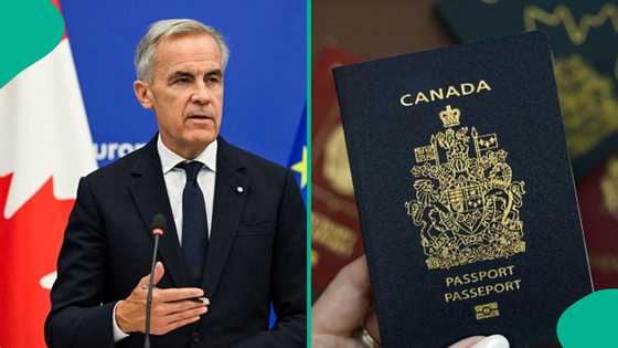 Canada publishes 3 exceptional reasons foreigners may be granted citizenship outside normal rules
