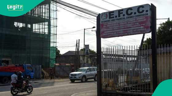 Alleged N12bn COVID-19 funds: EFCC, ICPC asked to probe ex-REA director