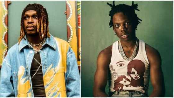 "Rema get money pass am normally": Reactions as Fireboy DML speaks on who's richest between him & Mavin singer