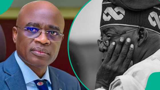 Benue gov’t demolishes Tinubu campaign office days after inauguration, gives reasons