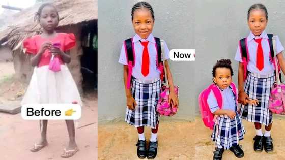 "She is good": Lady takes good care of her housemaid, puts her in the same school with her children