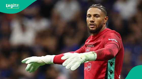 Good news for Maduka Okoye as top European club eye €20m bid for Super Eagles goalkeeper
