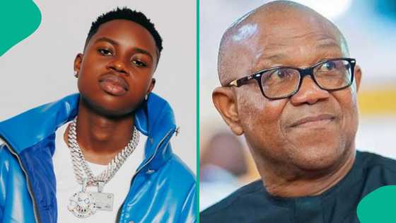 Peller shares what Peter Obi’s team wants from him ahead of 2027 elections