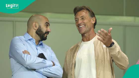 Saudi Arabia dismisses coach Herve Renard ahead of 2026 World Cup, replacement eyeing position