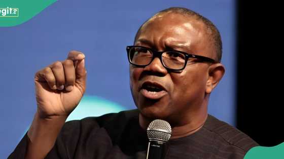 Peter Obi says exit of multinationals cost Nigeria N95 trillion in 5 years