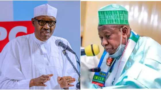 Naira redesign: “Buhari out to truncate democracy,” says Ganduje, accuses president of working against APC