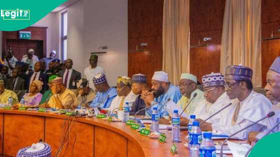 Gwamnoni 19 za su tara Naira biliyan 19 duk wata, an jero abubuwan da za su yi a Arewa