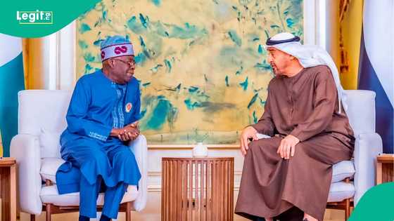 Kaya sun kara tsada a kasuwa, Tinubu ya ce manufofinsa sun fara haifar da mai ido