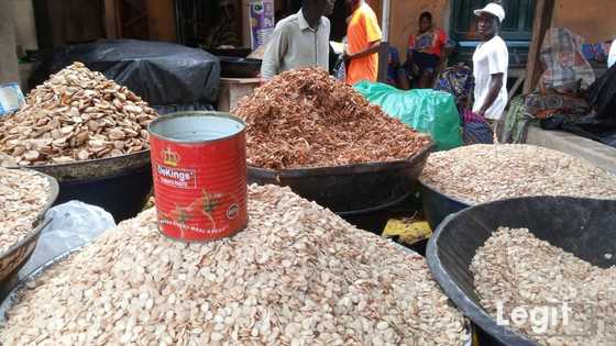 Legit.ng weekly price check: Lagos trader groan bitterly as bag of ogbono sells for N200,000, egusi N180,000