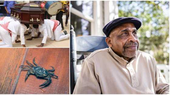 "Not to kill any living thing": How Nigerian man died after son ignored warning & killed a crab in compound