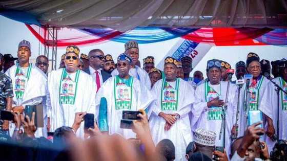 2023 presidency: Mammoth crowd attends Tinubu's rally in Gombe