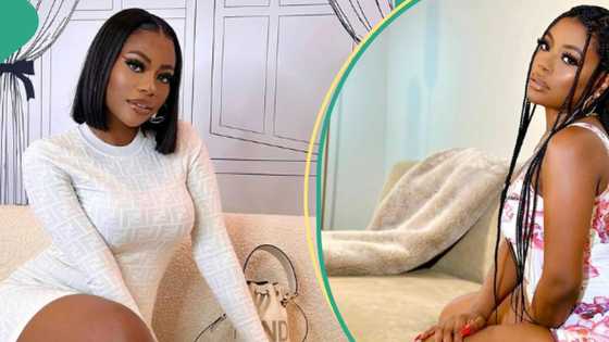 “Toast me”: Davido’s baby mama Sophia tells men who are scared to move to her because of singer