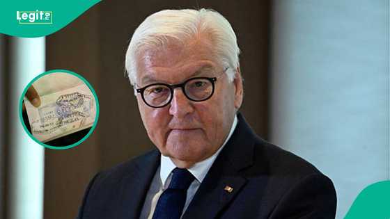 Germany announces 6 visa-free countries whose citizens are banned from working immediately