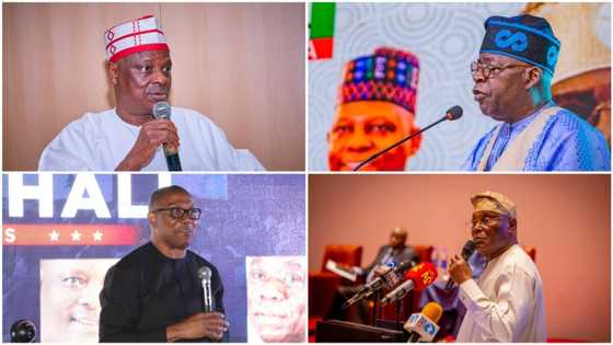 2023 presidency: Tinubu leads as states Obi, Atiku will win emerge in new polls