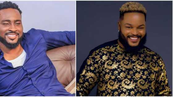 You knew I was the wild card before I got here: BBNaija's Pere accuses Whitemoney