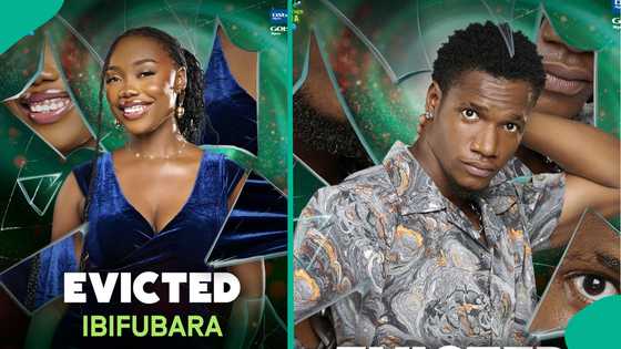 BBNaija 2025: Two housemates bow out as first evictions shake up game