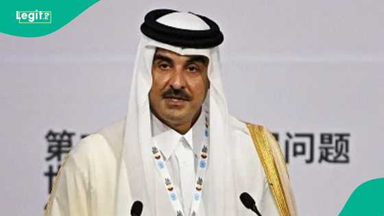 Qatar names 9 types of visas foreigners can get on arrival at the airport