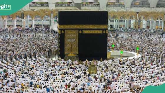 Hajj 2024: Adadin Alhazan da suka rasu a Saudiya ya kai 19, wasu 17 sun bace