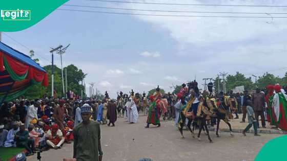 Ranar Hausa: Abubuwan da ya kamata ku sani yayin da bikin 2025 ya kankama a Daura