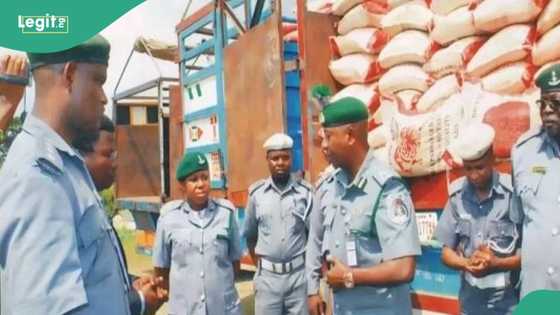 Economic hardship: Customs plans to distribute seized food items to Nigerians