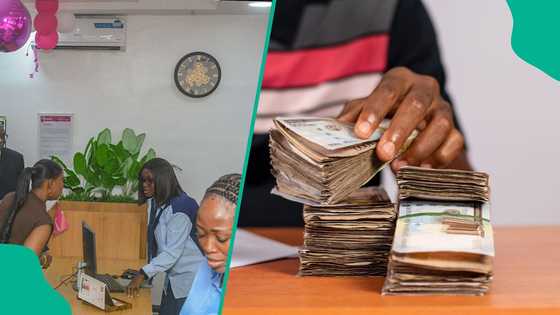 Top 10 microfinance banks in Nigeria: Best options for loans, savings, SME capital