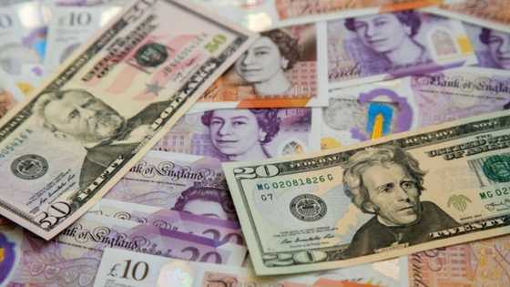 Drama as family mistakenly throws out N10.2m in cash while cleaning their grandma's house