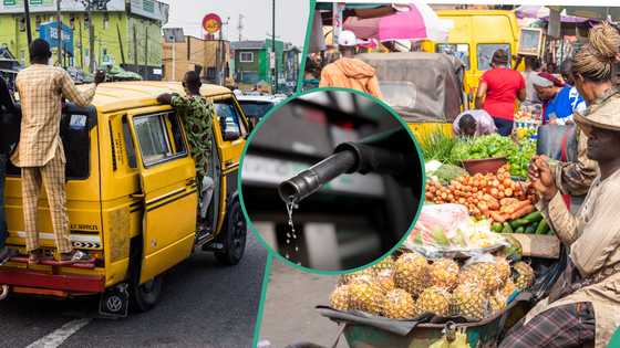 Oil marketers raise alarm over looming high cost of transportation, food amid fuel price surge