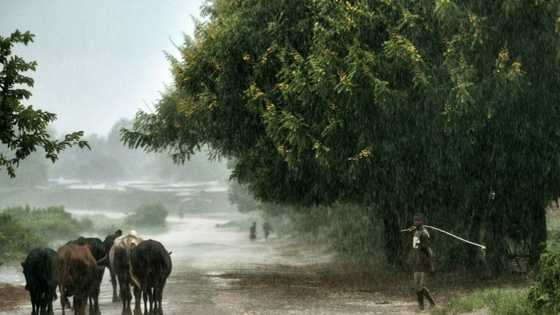 US grants $350 mln for Malawi projects, hailing good governance