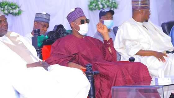 Zulum, Sarakuna, da Shugabannin Borno Sun Fadi Matakin da Zasu Dauka Kan Yan Boko Haram da Suka Mika Wuya