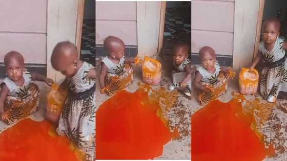 "Where do I start?": Twins waste mother's expensive palm oil, spill on the floor and play with it in video