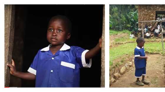 Meet self-taught 6-year-old boy who is a mathematics genius