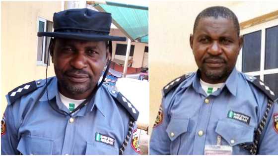 Kano Hisbah sacks top commander found with married woman in hotel room