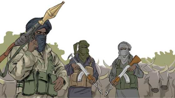 Ali Kachalla: Waye Hatsabibin shugaban 'yan bindigan Zamfara da ya harbo jirgin NAF?