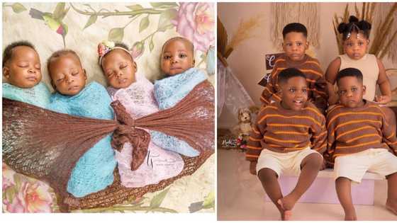 Father lord this is how I want it: Photos of adorable quadruplets get many falling in love on social media