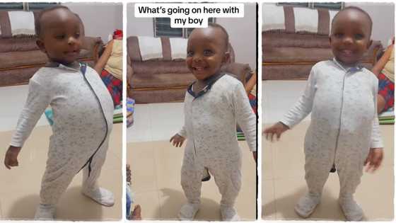 "Old soldier never dies": Viral video of baby demonstrating how to stand at attention causes stir on TikTok