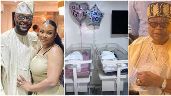 "A boy and girl": Jubilation as late Alao Akala's son welcomes twins, couple meet newborns in touching video