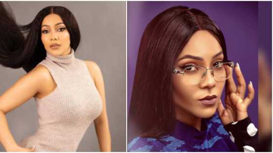 I will be jailed for murder that day: BBNaija's Maria replies fan who insinuated she suffers domestic violence