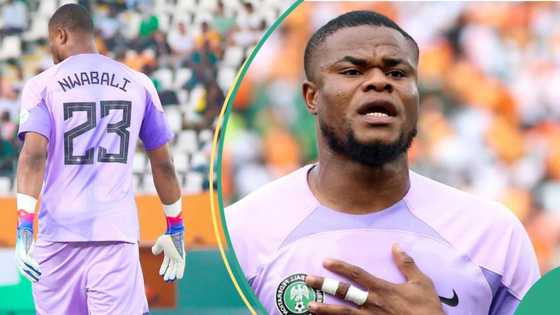 AFCON 2023: Nwabali opens up on goalkeeper he watches before every game