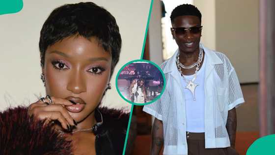 Ayra Starr, Wizkid, 3 other Nigerian singers who suffered embarrassing falls on stage