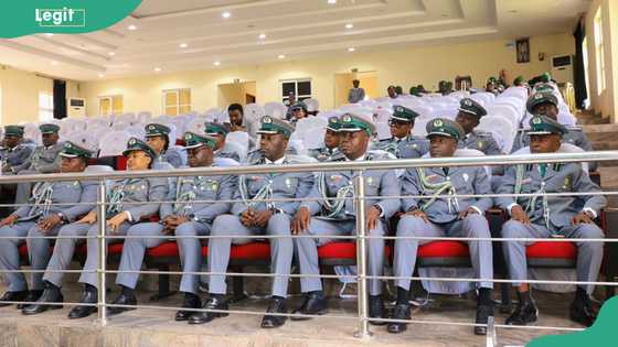 Kano customs intercepts 48 endangered animals in record single-day wildlife seizure