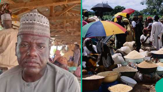 Professor at Umaru Musa Yar’adua University sells vegetables at local market, shares reasons