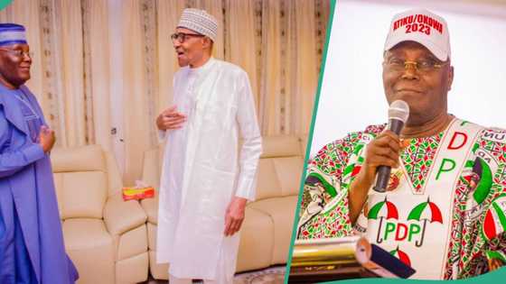 Buhari at 82: Atiku sends 'vitality' message to ex-president