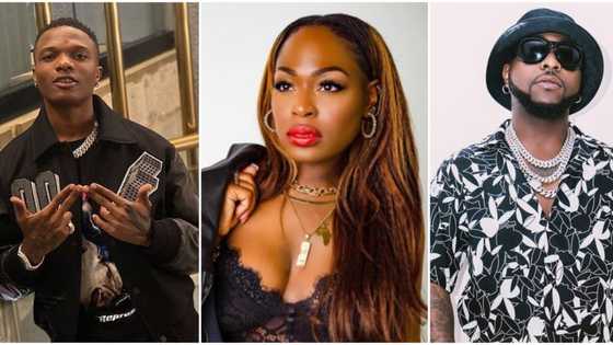 Stanning Wizkid got me unfollowed by Davido: US-based Nigerian lady claims, maintains she loves both singers