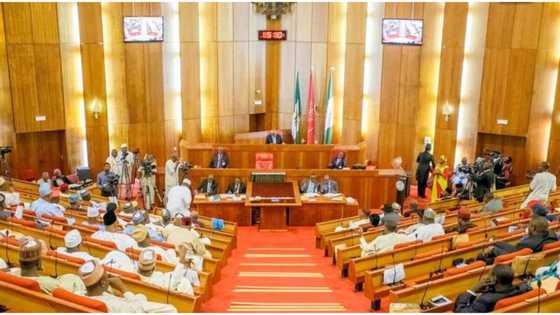 2023: Drama as 24 candidates jostle for Senate seats in powerful APC governor's state