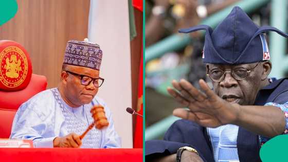 Breaking: Fresh Tension as senate takes action over alleged fake agency scandal in Tinubu's govt